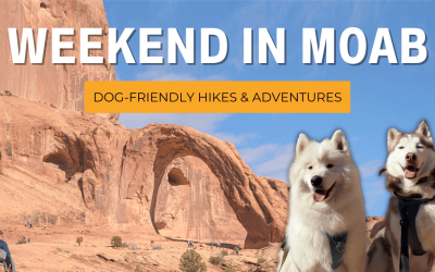 Dog-friendly Hiking Weekend in Moab